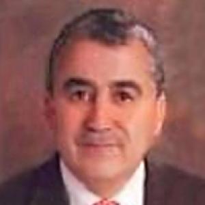 Waleed Mohammed Saldi Shnaygat
